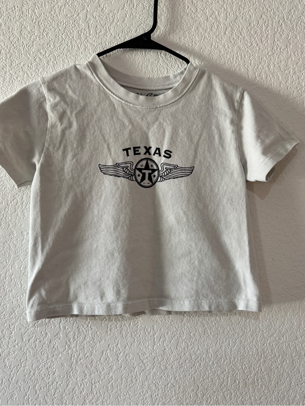 Brandy Melville Texas crop Top